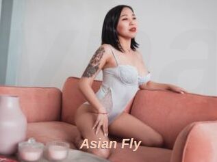 Asian_Fly