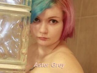 Aster_Grey