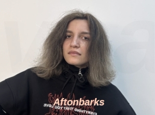Aftonbarks