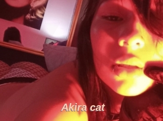 Akira_cat