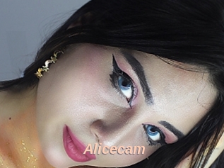 Alicecam
