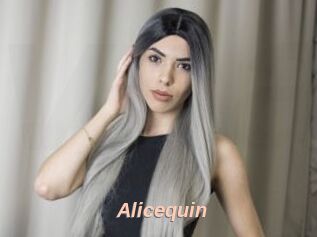 Alicequin