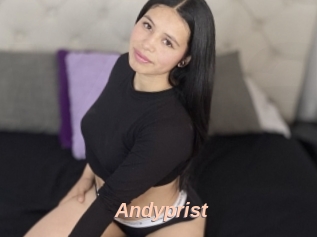 Andyprist