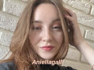 Aniellagalli