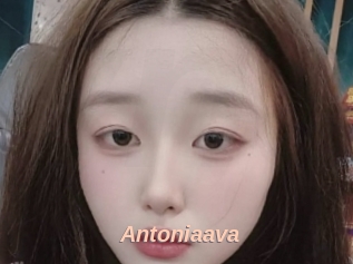 Antoniaava