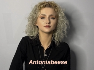 Antoniabeese