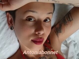 Antoniabonnet