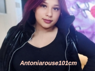Antoniarouse101cm