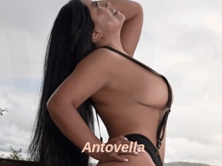 Antovella