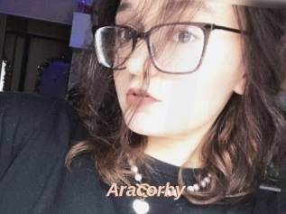 Aracorby