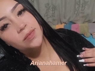 Arianahamer