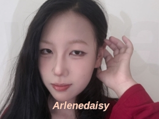 Arlenedaisy