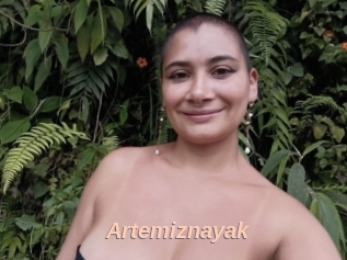 Artemiznayak