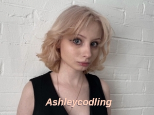 Ashleycodling