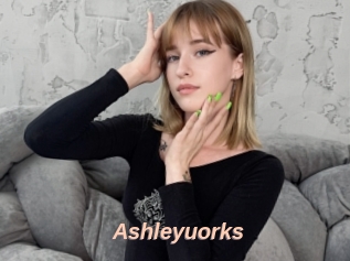 Ashleyuorks