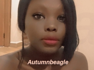 Autumnbeagle