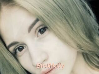 BirdMolly