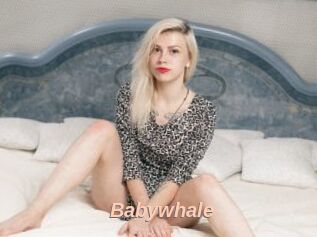 Babywhale