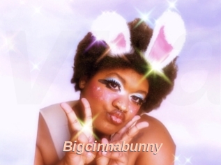 Bigcinnabunny