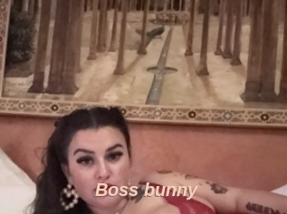 Boss_bunny