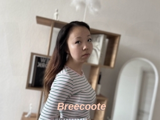 Breecoote