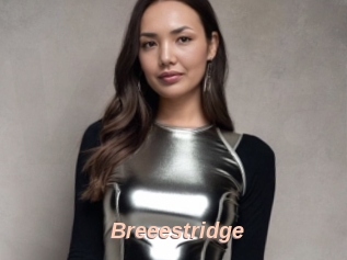 Breeestridge