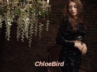 ChloeBird