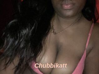 Chubbikatt