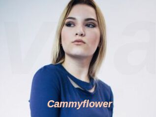 Cammyflower
