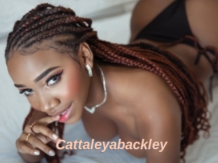 Cattaleyabackley