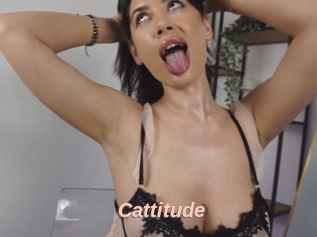 Cattitude