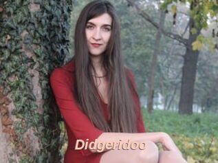 Didgeridoo