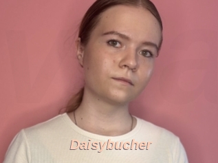 Daisybucher