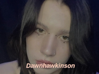 Dawnhawkinson