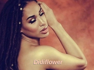 Didiflower