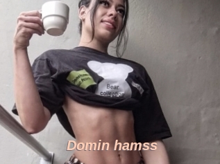 Domin_hamss