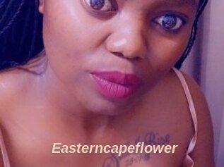 Easterncapeflower