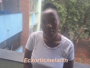 Ecxorticmelanin
