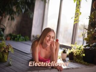 Electricflower