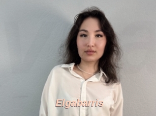 Elgabarris