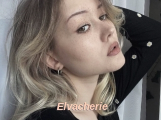 Elvacherie