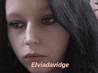Elviadavidge