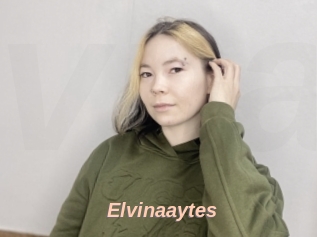 Elvinaaytes