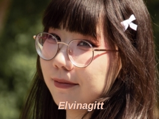 Elvinagitt