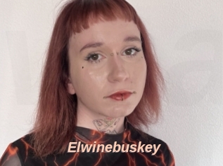Elwinebuskey