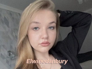 Elwinedanbury