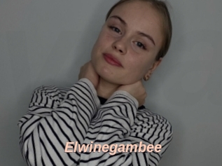 Elwinegambee