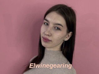 Elwinegearing