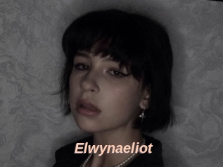 Elwynaeliot