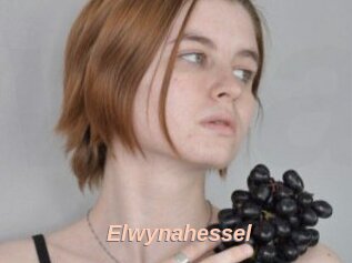 Elwynahessel